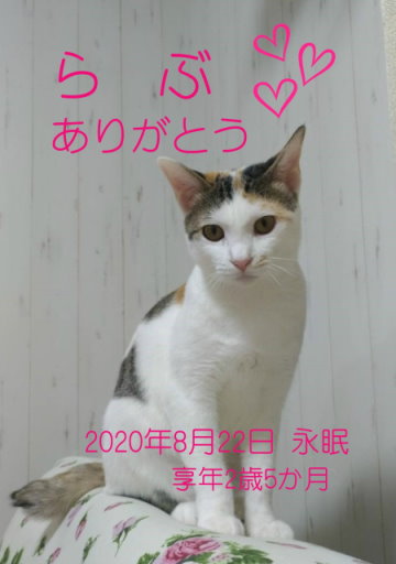200823kanou-love-tyan.jpg